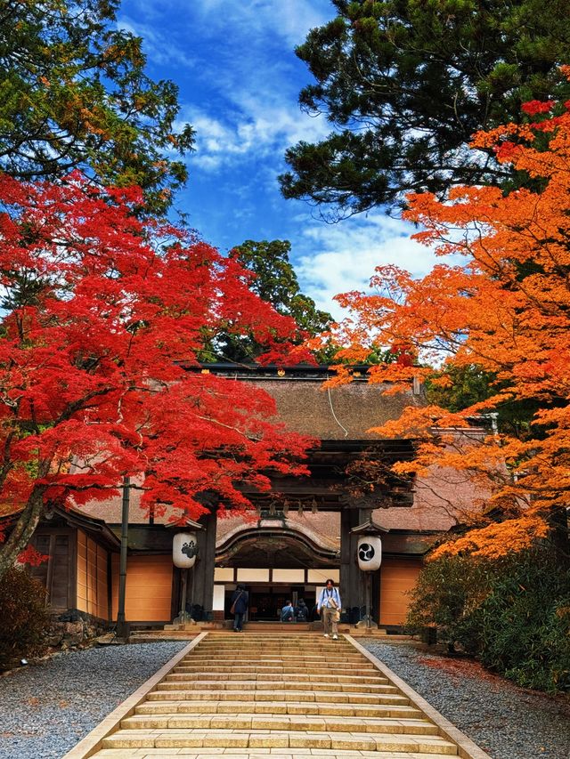 拈花一笑高野山