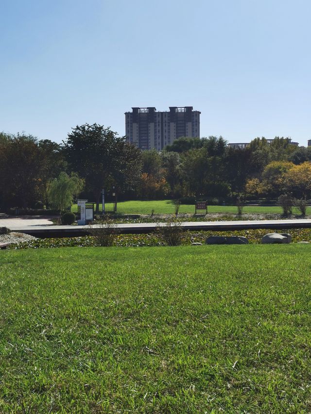 【河南省湯陰縣】城南公園。 【河南省湯陰縣】城南公園。