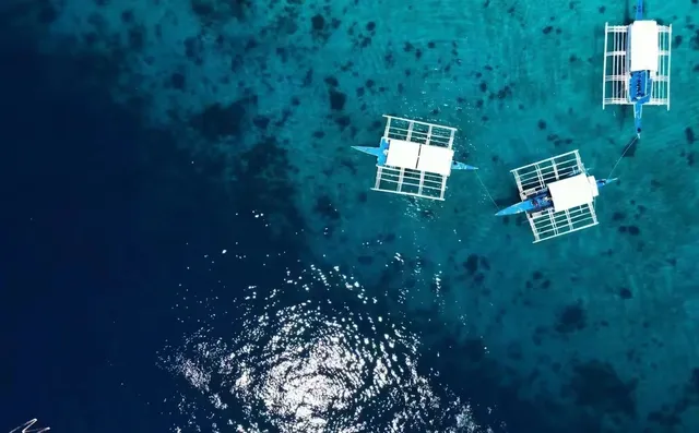 菲律賓巴里卡薩(Balicasag)潛水員的天堂潛點! 巴里卡薩島是個赤道珊瑚島,位於海中央的 菲律賓巴里卡薩(Balicasag)潛水員的天堂潛點! 巴里卡薩島是個赤道珊瑚島,位於海中央的