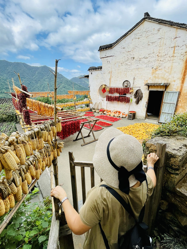 篁嶺的秋色……/與遼寧美女同行