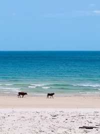 海南文昌木蘭灣絕美風車海岸隨手拍都是大片！