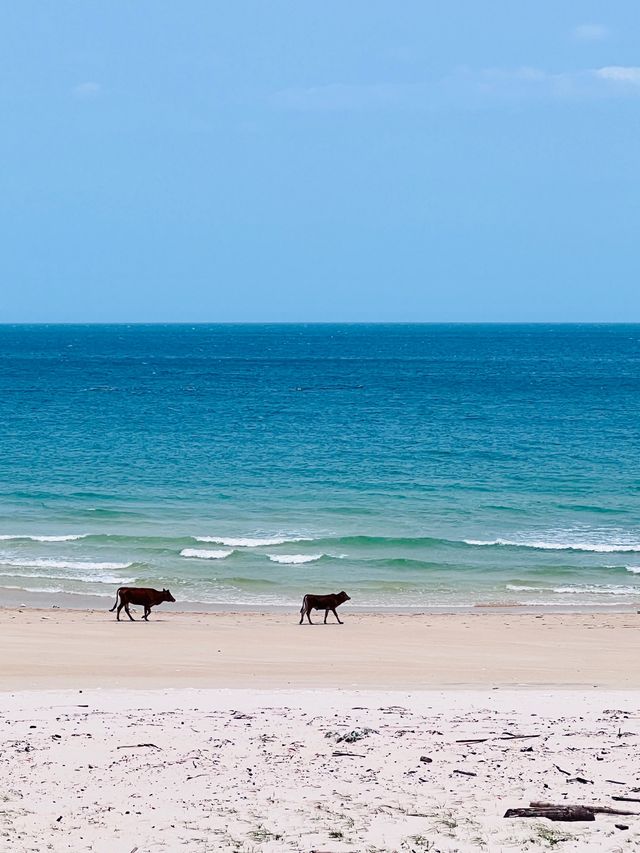 海南文昌木蘭灣絕美風車海岸隨手拍都是大片！