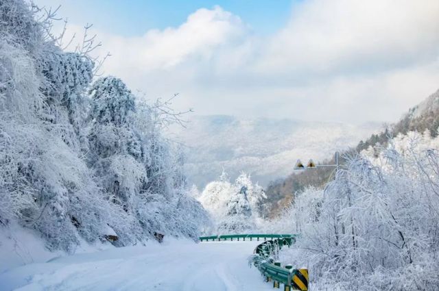 黎坪秋冬奇境，免票暢遊山林秘境