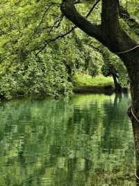 皖南318藏著的神仙民宿！住進山野裡的私湯秘境