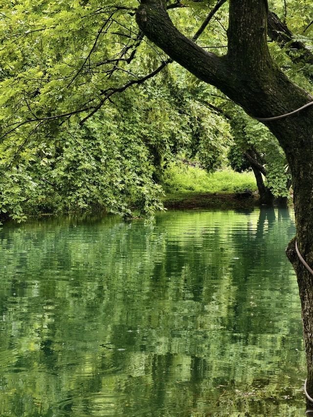 皖南318藏著的神仙民宿！住進山野裡的私湯秘境