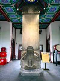 故宮同款銀杏紅牆南京版鼓樓公園