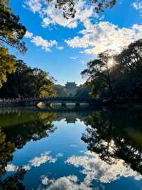 燕雀湖：南京秋日水上仙境