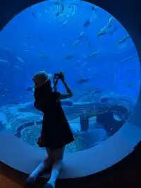 三亞五天四晚淡季旅遊攻略