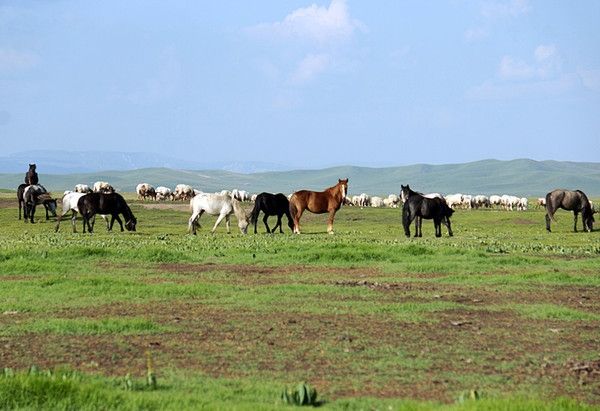 夏日必去甘南草原 夏日必去甘南草原