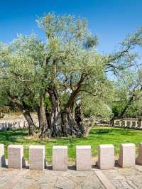 黑山1日包車遊打卡小眾秘境