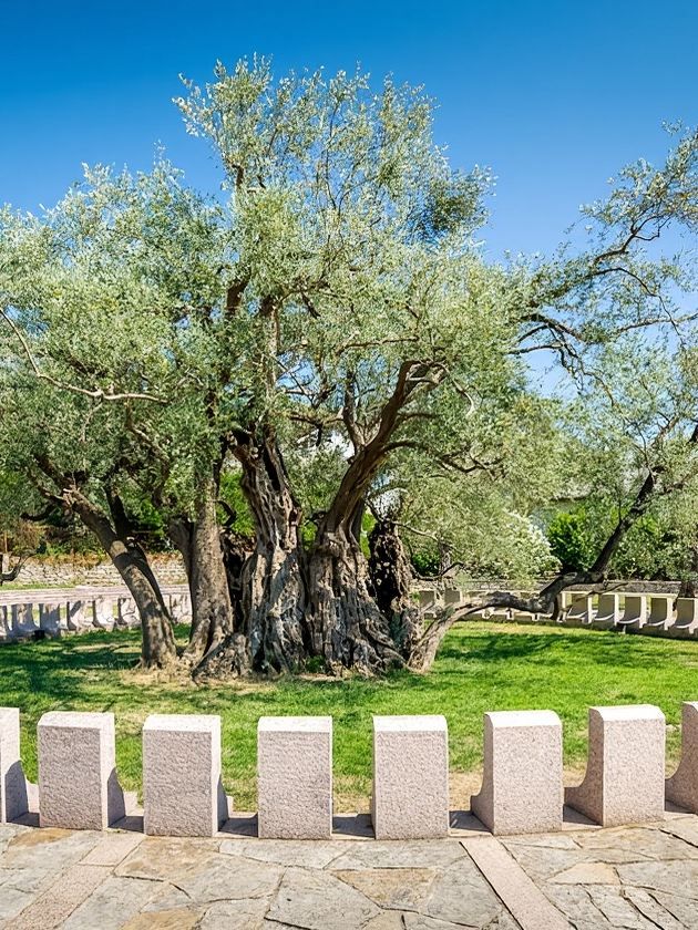 黑山1日包車遊打卡小眾秘境 黑山1日包車遊打卡小眾秘境