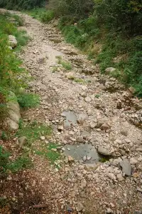 在福州｜安利這個值得帶小朋友N刷的寶藏公園