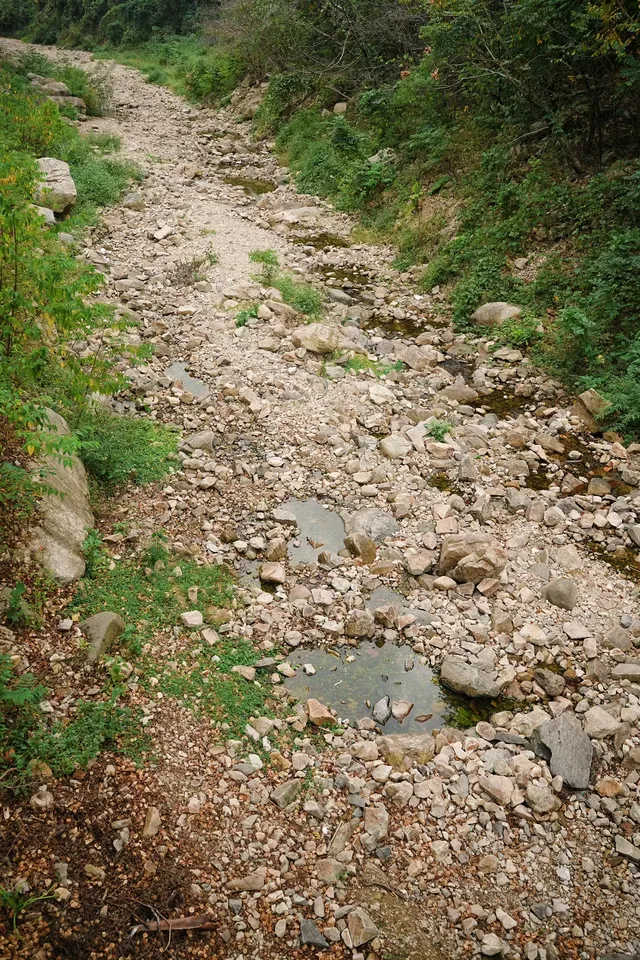 在福州｜安利這個值得帶小朋友N刷的寶藏公園