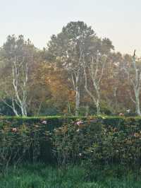 上海 · 魯迅公園