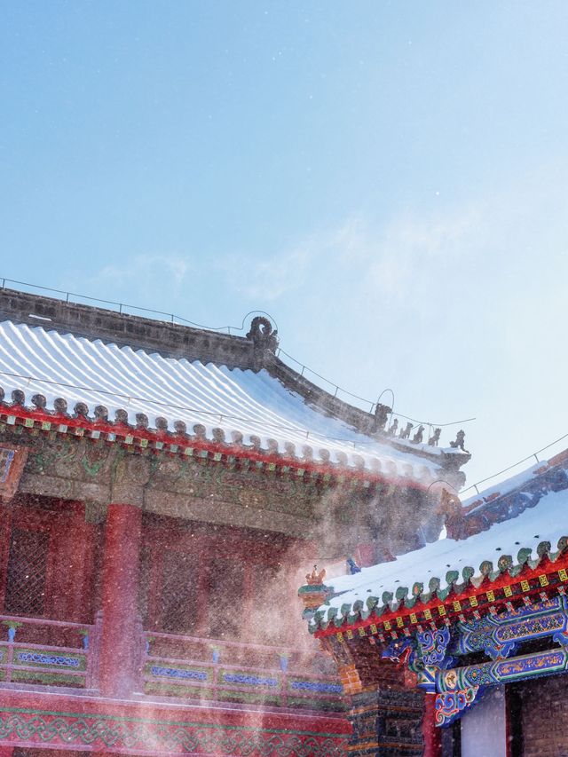 北方限定浪漫!瀋陽的雪景封神了 北方限定浪漫!瀋陽的雪景封神了