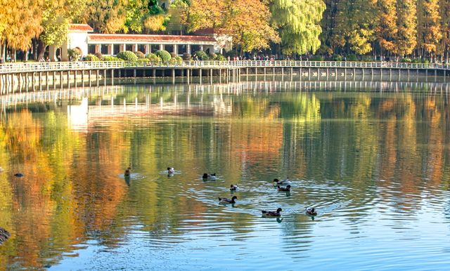 斑斕調色盤,律動生活詩--武漢解放公園秋色 斑斕調色盤,律動生活詩--武漢解放公園秋色