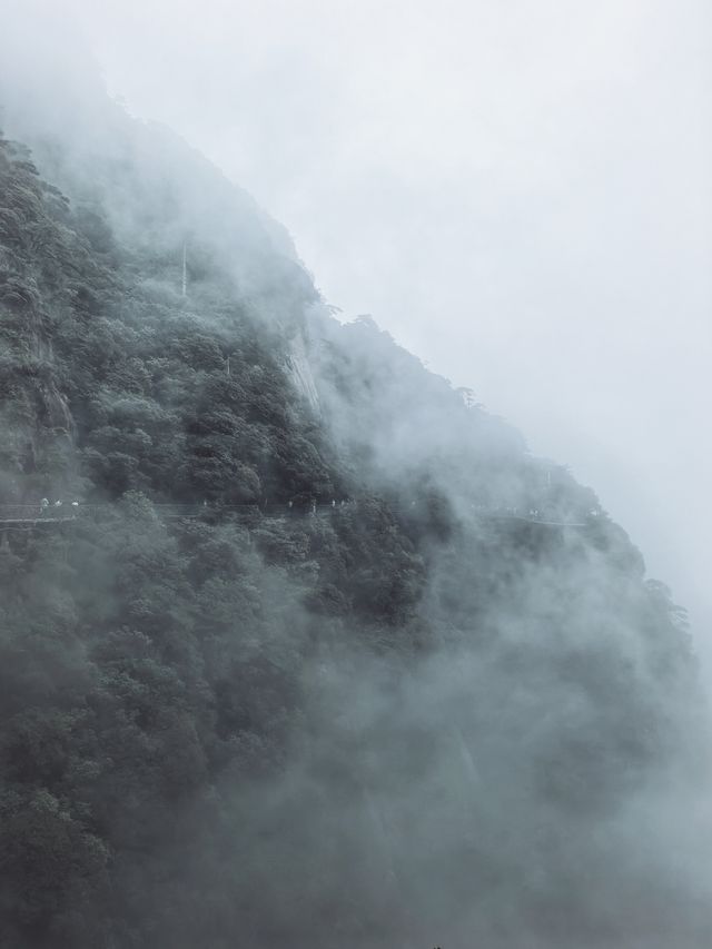 霧中三清水墨禪意原來古人的山水畫寫意亦寫實