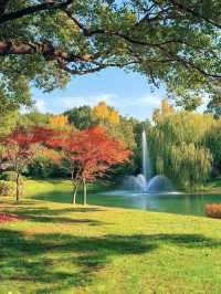 別擠瑞金!東郊賓館藏秋日秘境 免費好拍人超少