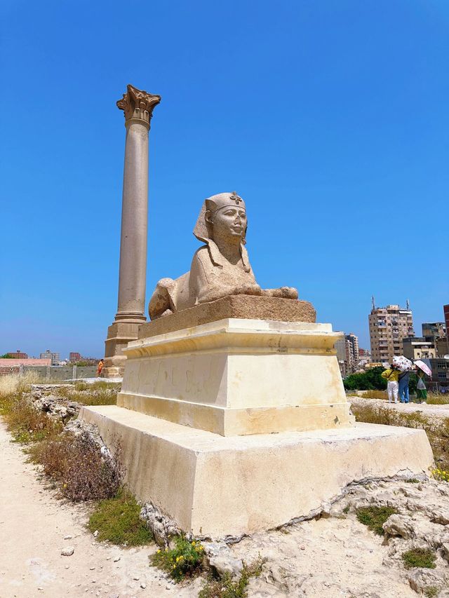 埃及6日遊這些坑我替你踩過了 埃及6日遊這些坑我替你踩過了