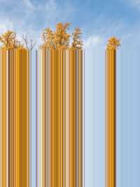 蘇州1日包車遊省心又盡興