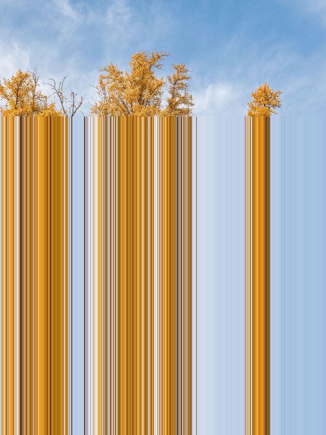 蘇州1日包車遊省心又盡興