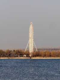 泰山天頤湖免費打卡攻略