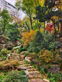 上海小京都這片楓葉階梯美到窒息!人少速來!