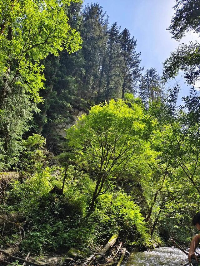 藏在周邊的祁連秘境,四季皆美的生態畫卷 藏在周邊的祁連秘境,四季皆美的生態畫卷