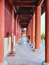 金秋寺廟C位出道保定這個小眾古寺的銀杏美哭了