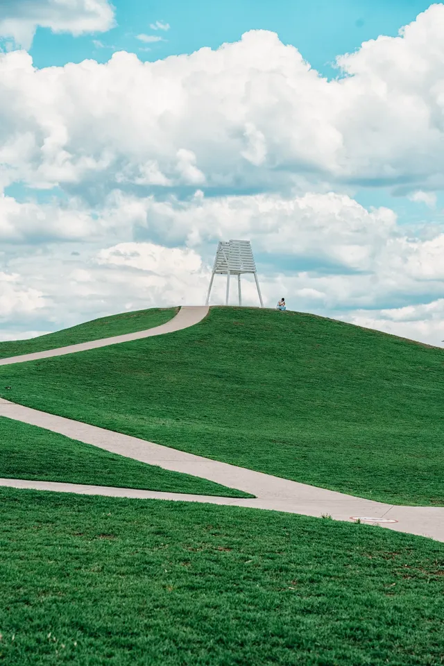 墨爾本海邊跑步,發現了現實版的瘋狂動物城 墨爾本海邊跑步,發現了現實版的瘋狂動物城