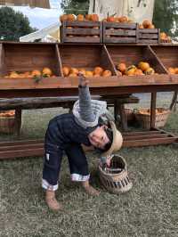 長沙最美鄉村市集打卡攻略陽光灑落的日子也太適合逛gai了!