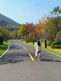 冬日宜興|住進山水畫裡的治癒酒店