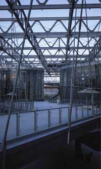 綠野仙蹤般治癒之旅