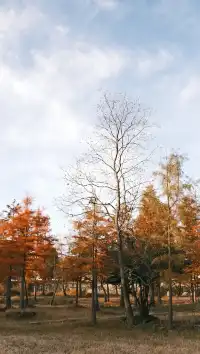 南京周邊遊——皖南的秋