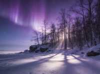 Heilongjiang’s Aurora: China’s Arctic Light Show That’s Viral Worldwide!