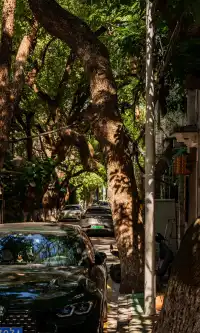 廈門拍照|在陽光鋪滿的信義路看發光的秋天