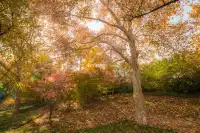 在武漢,週末不知道去哪兒玩,來東湖就對了