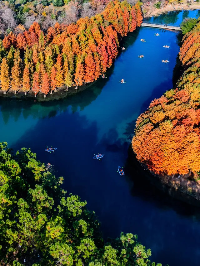 在常州!虎丘同款網紅玻璃船,絕美! 在常州!虎丘同款網紅玻璃船,絕美!