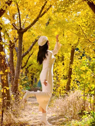 Wuxi's Hidden Ginkgo Forest|A Winter Fairy Tale Come to Life