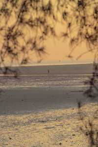 銀灘日出全攻略|附絕美機位+調色參數