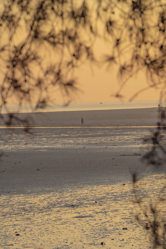 銀灘日出全攻略|附絕美機位+調色參數 銀灘日出全攻略|附絕美機位+調色參數