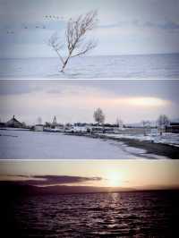 藍冰季限定預告！還有這裡可以免費直達