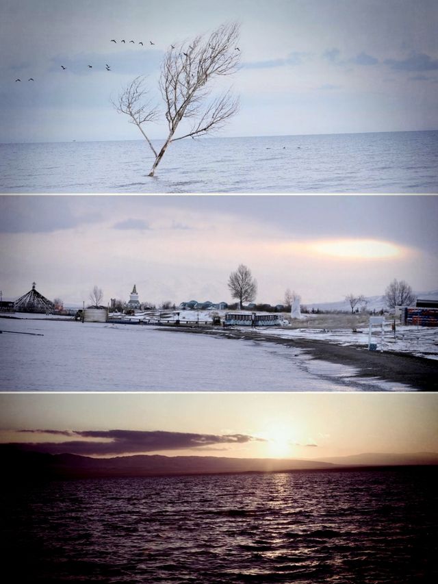 藍冰季限定預告！還有這裡可以免費直達