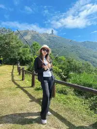 香港|大帽山郊野公園