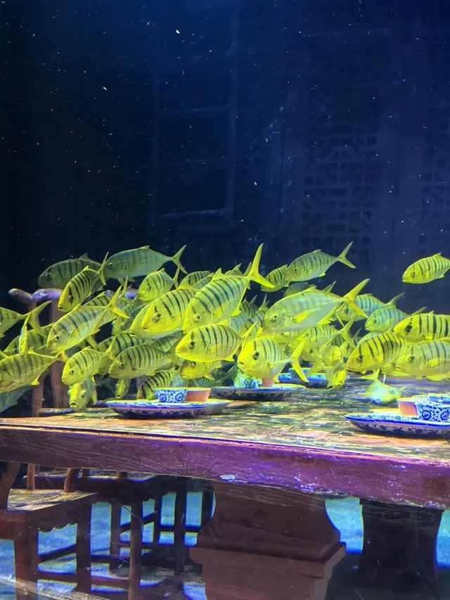 長風海洋公園遛娃記 | 海底奇幻之旅