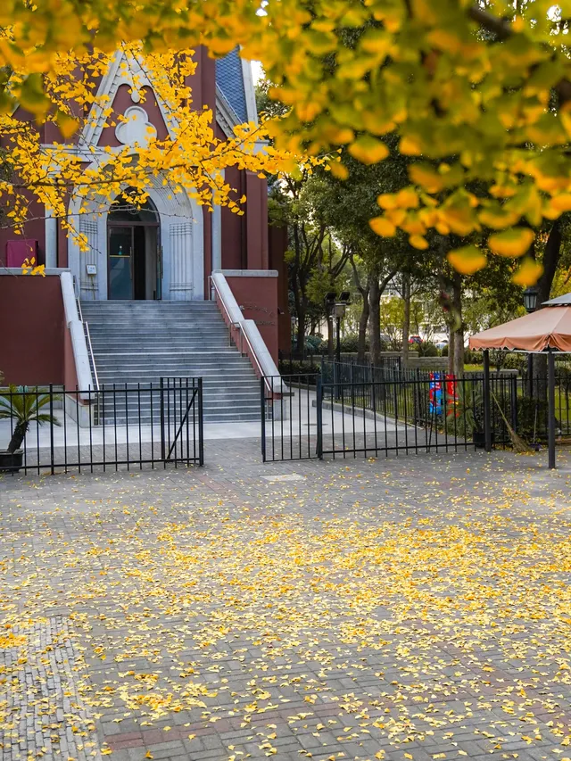 12.02實拍｜上海銀杏教堂已封神，可參觀