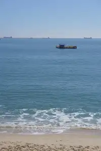 我真希望東山島能再商業化一些……