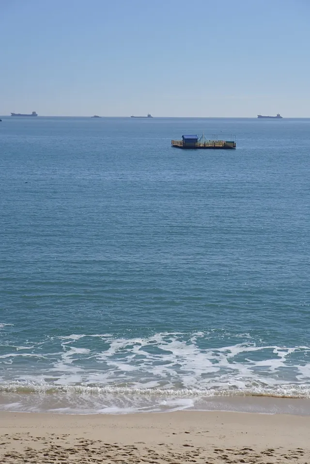 我真希望東山島能再商業化一些……