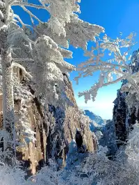 12月及1月來郴州莽山的！存下吧超全的！