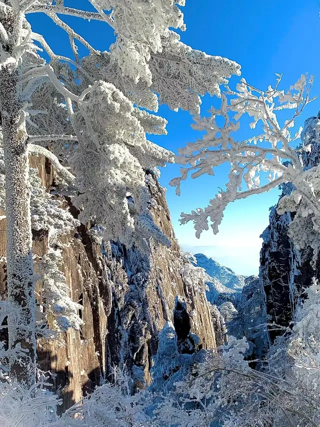 12月及1月來郴州莽山的！存下吧超全的！